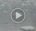 Video of glacier calving