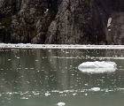 Floating glacier chunks