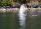 DSC 0689  Alaska 2012