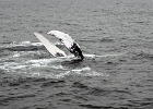DSC 8617  Cape Cod 2011