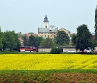 Mustard fields, Theresienstadt