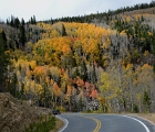 Fall foliage - Rocky Mt. NP