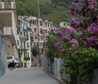 Riomaggiore street