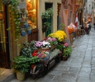 Flower vendor, Portovenere