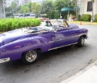 Very purple car