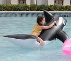 Girl on a dolphin