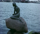 Little mermaid - Copenhagen