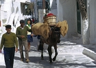 Greece  Water donkey, Mykonos