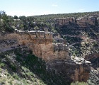 D8C 4463b  Bright Angel trail, Grand Canyon