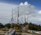 D8C 7404d  Steel forest, Sandia Crest, NM