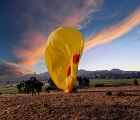 Balloon takeoff  Napa balloon