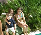 On the turtle