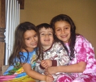 Henry sandwich