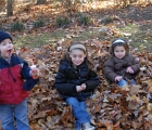 Leaf joy