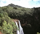 Waimea falls - Kauai