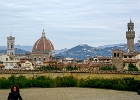 D8C 4732n  View of Duomo, Palazzo Vecchio from Boboli Gardens