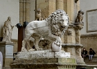 D8C 4979  Lion in loggia, Piazza de Signoria