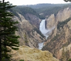 Lower Yellowstone falls
