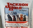Ski patrol dogs