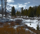 Creek and Teton range