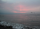 D8C 3178d  Puerto Vallarta sunset