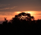 D8S 3393  Kruger sunset
