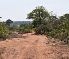 D8S 3587  Road in Kruger