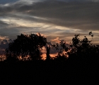 D8S 3801  Kruger sunset