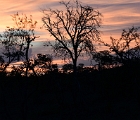 D8S 3840  Kruger sunset