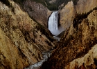 DSC 4006  Yellowstone Falls