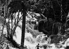 Dunn's River Falls  Dunn's River Falls, Jamaica