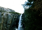 bridalveil  Bridalveil Falls, Yosemite National Park